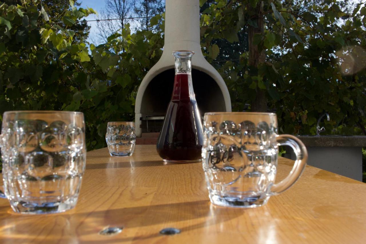 Hanzi Holiday Home Recica ob Savinji Dış mekan fotoğraf